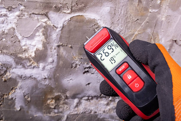Best Commercial Mold Remediation in Okemos, MI