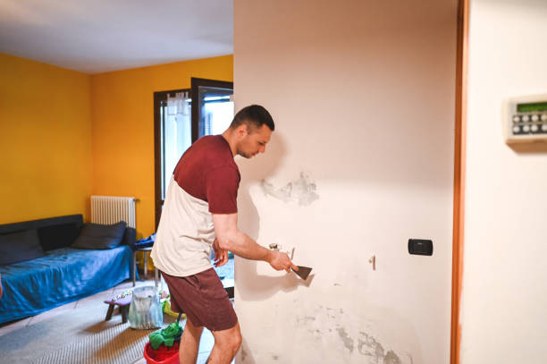 Best Localized Mold Remediation (e.g., coastal areas, humid climates) in Okemos, MI
